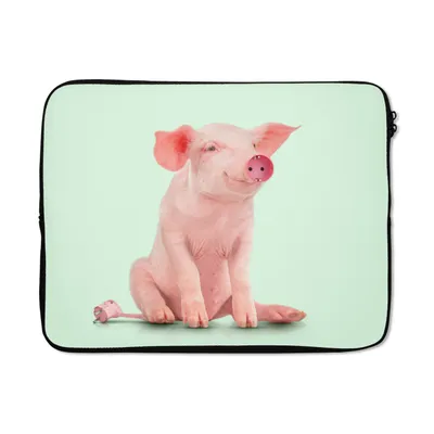 Produktbild von MuchoWow® Laptop Hülle 17 Zoll Laptoptasche Schwein - Rosa - Sockel - Tiere - Zipper - Schutzabdeckung