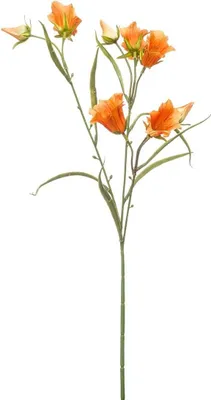 Produktbild von artplants.de Plastik Zweig Glockenblume EMMELY, orange, 65cm - Kunst Glockenblumenzweig