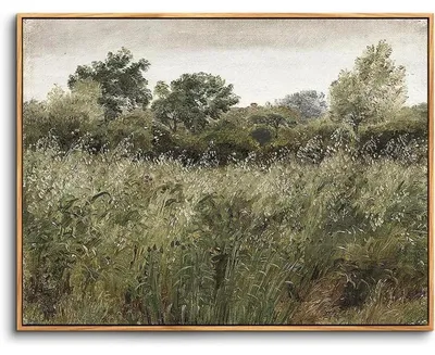 Image de Tableau sur toile avec cadre en bois, dimensions 50x75 cm, motif : paysage naturel et esthétique, idéal pour la décoration murale