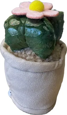Produktbild von Take Me Home plant pluche Cactus met bloem 12-17cm 660620