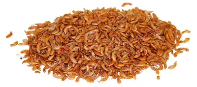 Produktbild von 0,5kg Gammarus - Bachflohkrebse getrocknet | ca. 5 Liter | Für Koi, Reptilien, Hühner
