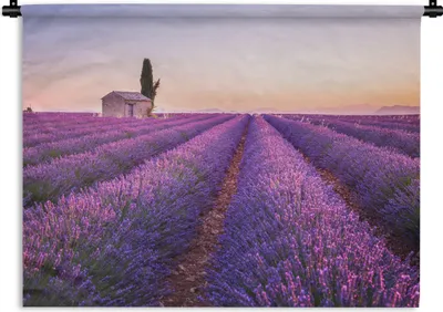 Produktbild von MuchoWow® Wandteppich Wandbehang Lavendel - Sonnenuntergang - Lila - Blumen 150x112.50 cm Tapisserie Dekoration Wandtuch - Wanddecke - Wandteppiche