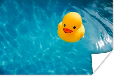 Produktbild von MuchoWow® Poster Gummi-Ente - Gelb - Wasser 120x80 cm - Bilder