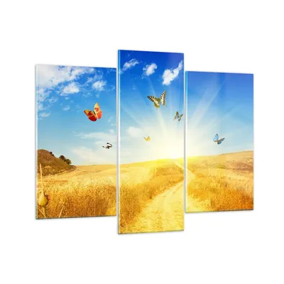 Produktbild von Bilder auf glas - Schmetterlinge Wiese Gras - 130x100cm - Glasbilder - Wandbilder - Kunstdruck - zum Aufhängen bereit - Wanddekoration aus Glas - Glas Bilder - Wandbild auf Glas - GCB130x100-0517