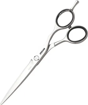 Image de JAGUAR Silver Line Ocean Ciseaux de coiffure 5.75-Inch Length 0.04203 kg