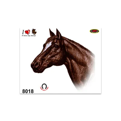 Immagine prodotto di Cavallo adesivo 14 x 16 cm
