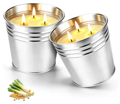 2 Citronellakerzen aus Sojawachs, je 550 g, 80-100 h Brenndauer