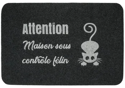 Antirutsch-Deurmat 60x40 cm mit Katzendesign, waschbar
