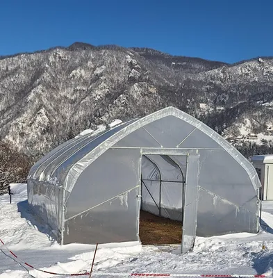 Obrázek produktu pro Skleník PROFI TOPMODEL 2025, 5×10 m, robustní skleník pro zahradu a rostliny – výroba EU – vysoce kvalitní skleník pro profesionály i hobby pěstitele