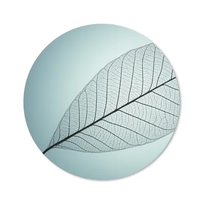 Produktbild von MuchoWow® Mauspad Mousepad Bild eines botanischen Blattskeletts im Hintergrund mit der Farbe Cyan 20x20 cm - Mousepads - Maus Mat - Pad - Mausunterlage - Schreibtischmatte
