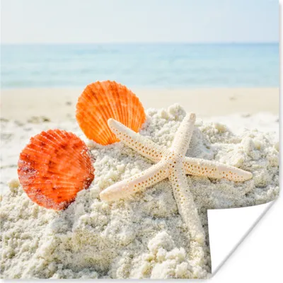 Produktbild von MuchoWow® Poster Strand - Muscheln - Seesterne 75x75 cm - Wand Dekoration