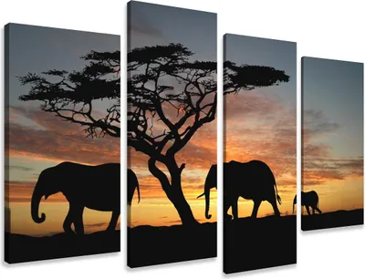 Obrázek produktu pro Obraz 130 x 80 cm na plátně Slon africký 6066 - Obrázky/nástěnný obraz/umělecký tisk je připraven zarámovat