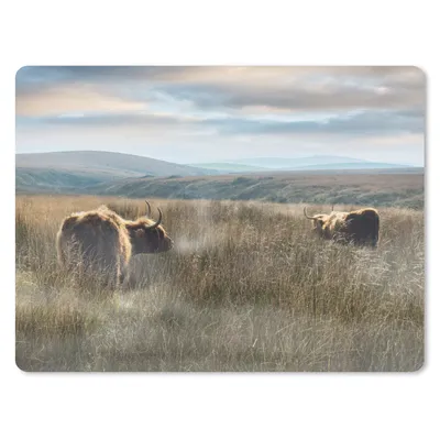 Produktbild von MuchoWow® Mauspad Mousepad Schottische Highlander - Nebel - Gras 40x30 cm - Mousepads - Maus Mat - Pad - Mausunterlage - Anti Rutsch