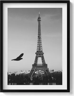 Produktbild von Eiffelturm und ein fliegender Vogel Paris– Wandbild mit Rahmen – Gerahmtes Bild  – Wanddekoration – 60x80 cm –  Schwarz Rahmen
