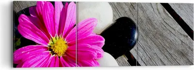 Produktbild von Bild auf Leinwand - Leinwandbild - Stein Blume Blütenblätter Chrysantheme - 90x30cm - Wand Bild - Wanddeko - Leinwanddruck - Bilder - Kunstdruck - Leinwand bilder - Wandkunst - CA90x30-2302