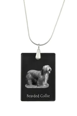 Immagine prodotto di Bearded Collie - Ciondolo in cristallo con cane, collana in argento con foto, ciondolo personalizzato del marchio Art-Dog