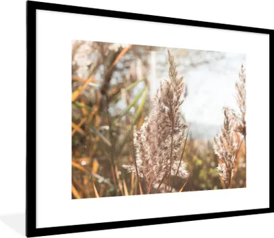 Produktbild von MuchoWow® Gerahmtes Poster Schilf - Sonne - Pflanze 80x60 cm - Poster mit Schwarzem Bilderrahmen Wandposter Rahmen Foto Bilder - Schlafzimmer-Dekorationen - Fotoposter