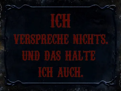 Produktbild von vianmo Holzschild 30x40 cm verspreche nichts das halte auch
