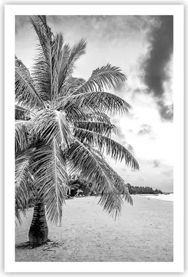 Produktbild von Poster - Poster ohne Rahmen - Monochrom Strand Wolken - 61x91,5 cm - Wand Bild - Wanddeko - Wandbilder - Kunstposter - Wandposter - Bilder - Kunstdruck - Wanddekoration - Wandbild - P2XPA61x91-4677