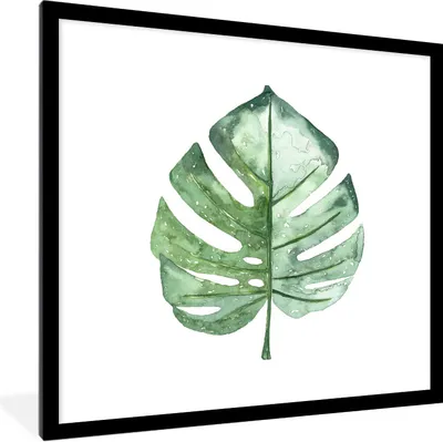 Produktbild von MuchoWow® Gerahmtes Poster Aquarell - Monstera - Blatt 40x40 cm - Poster mit Schwarzem Bilderrahmen Wandposter Rahmen Foto Bilder - Poster - Plakat im Rahmen