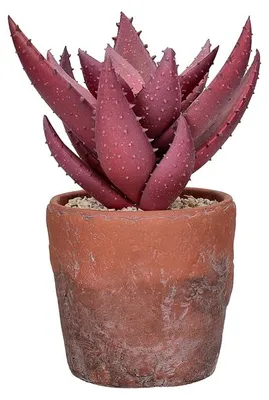 Obrázok produktu pre Pomax, terakotová umelá rastlina, fialová, priemer 19,5 cm, výška 24,5 cm