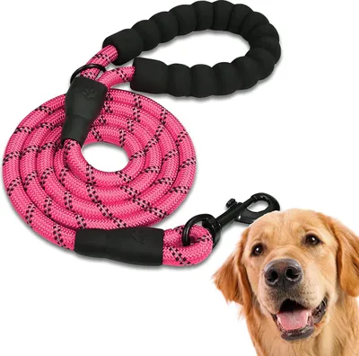 Produktbild von Hundeleine, starke Leine mit gepolstertem Griff für kleine, mittlere und große Hunde, (200 cm)