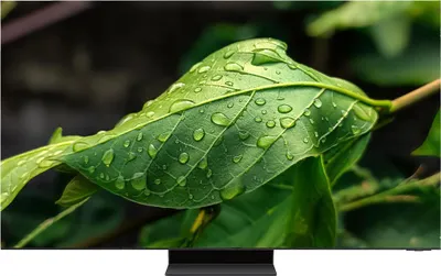 Produktbild von Neo QLED GQ-65QN900C, QLED-Fernseher