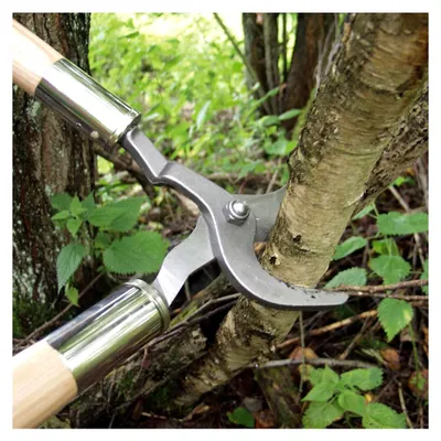 Produktbild von Durchforstungsschere Waldteufel, Gartenschere für Sträucher und Gehölze, 40 mm Ø Schnittleistung, 72 cm lang, Gewicht 1.800 g