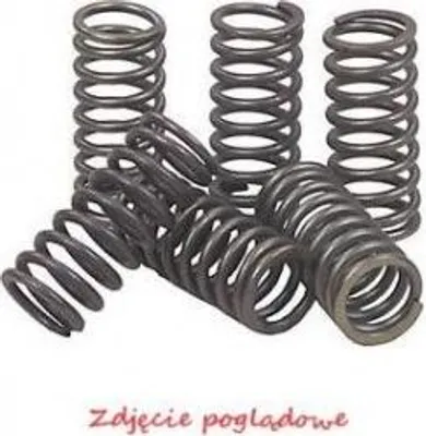 Immagine prodotto di CSK161 Kit di molle frizione EBC Premium