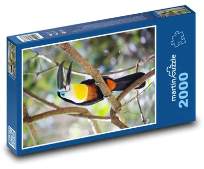 Obrázek produktu pro Puzzle 2000 Tukan v tropickém lese - martinpuzzle