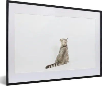 Produktbild von MuchoWow® Gerahmtes Poster Katze - Haustiere - Fell 60x40 cm - Poster mit Schwarzem Bilderrahmen Wandposter Rahmen Foto Bilder - Schlafzimmer - Plakat in Rahmen - Drucken