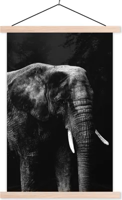 Produktbild von MuchoWow® Textilposter Elefant auf schwarzem Hintergrund - schwarz und weiß 120x180 cm mit holzfarbenen Rahmen - Textil-Plakat