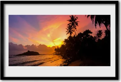 Produktbild von Bild 60x40 MDF-Rahmen Wandkunst Sea Sun Palm Landschaft