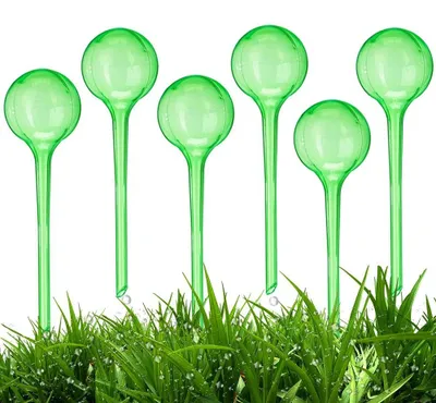 Image de Lot de 6 boules d'arrosage - Pour plantes en pot, transparentes