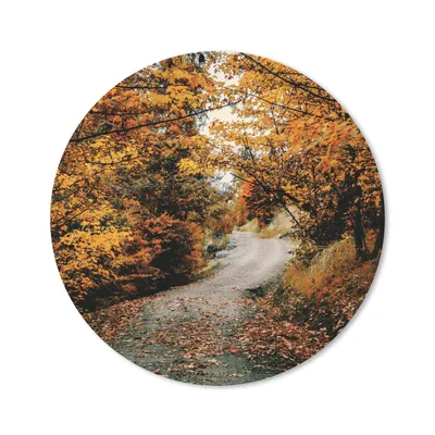Produktbild von MuchoWow® Mauspad Mousepad Herbstwald - Weg - Laub - Ländlich 20x20 cm - Mousepads - Maus Mat - Pad - Mausunterlage - Schreibtischmatte