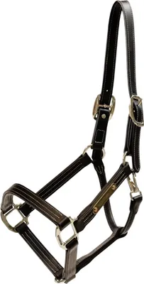 Produktbild von Kentucky Horsewear Lederhalfter Wellington Leather Halfter Braun Cob