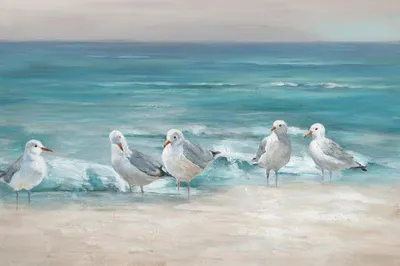 Produktbild von ArtUniverse Leinwandbild Möwen am Strand Türkis 60 x 90 cm