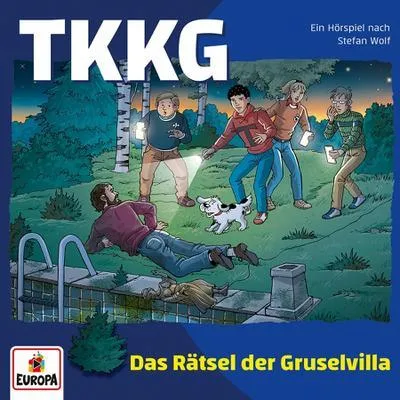 Image de TKKG 241: Das Rätsel der Gruselvilla
