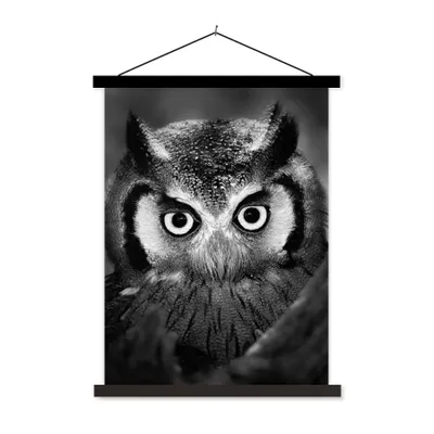 Produktbild von MuchoWow® Textilposter Vogel - Eule - Porträt - Schwarz - Weiß 120x160 cm mit schwarzem Rahmen - Magnetischer