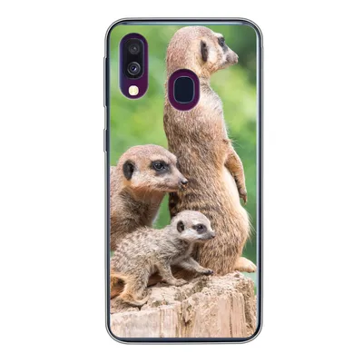 Produktbild von MuchoWow® Handyhülle Schutzhülle Hülle für Samsung Galaxy A40 Erdmännchen - Baumstumpf - Jungtier Silikon Softcase Handy Hülle - Handy-Tasche
