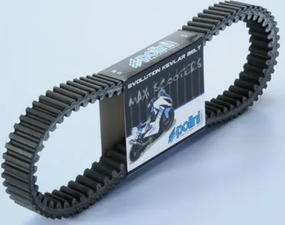 Image de Courroie de transmission POLINI Polyamide renforcée