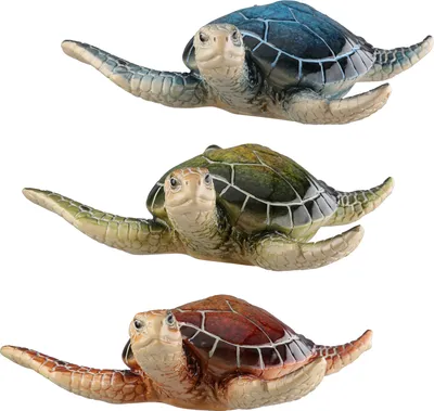 Immagine prodotto di Gilde Figur, Wandobjekt, Schildkröte, "Laureen", Poly, blau, grün, rot, L. 12.5 cm, B. 13.5 cm, H. 4.5 cm 55400 4063387554005 3 Stück (3-fach sortiert)