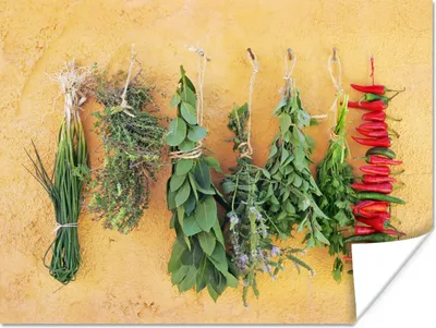 Produktbild von MuchoWow® Poster Mediterrane Kräuter 120x90 cm - Wandbild