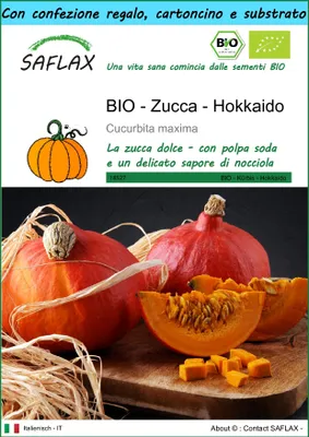 Immagine prodotto di SAFLAX Set regalo -- Zucca - Hokkaido - 5 semi - Cucurbita