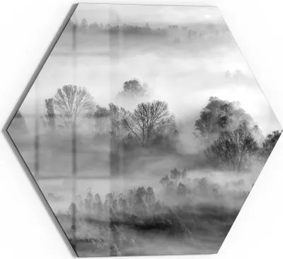 Produktbild von DEQORI Glasbild Echtglas 40x35 cm 'Nebelgeflüster' Wandbild Bild modern Deko