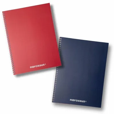 Productafbeelding van Notitieboek A4, 80 pagina's, geruit, 80g papier