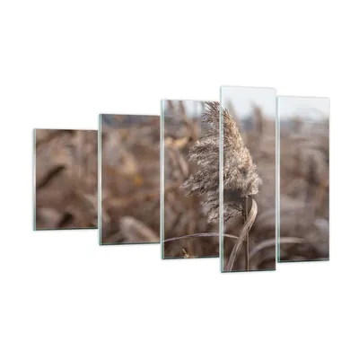 Produktbild von Bilder auf glas - 5 Teile - Boho Ähren Gras - 100x60cm - Glasbilder - Wandbilder - Bilder - zum Aufhängen bereit - Wanddekoration aus Glas - Glas Bilder - Wandbild auf Glas - GEG100x60-4763