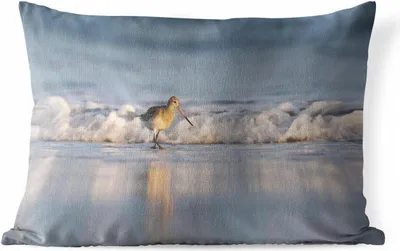 Produktbild von MuchoWow® Outdoor Kissen - Rotschenkel entlang der Küstenlinie - 60x40 cm - Wetterfest - Lounge Kissen - Zierkissen - Kissen für Innenräume