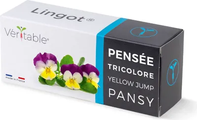 Image de Véritable Lingot Pensées - terreau pré-implanté