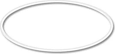 Immagine prodotto di Ricambio SunSun per chiarificatore per laghetti CUV-236 - O-ring 2 - per filtri per laghetti, lampade UV, accessori per chiarificatori UVC